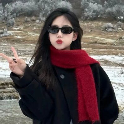 霍家拳之铁臂娇娃2